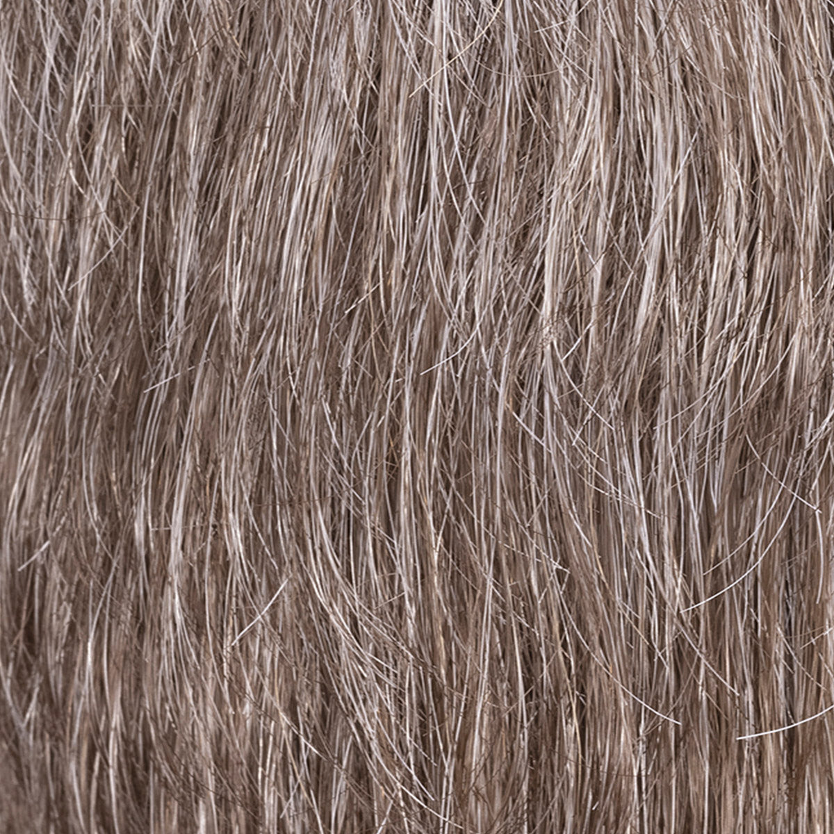 Ellen Wille | Herrenperücke | George 5 Stars